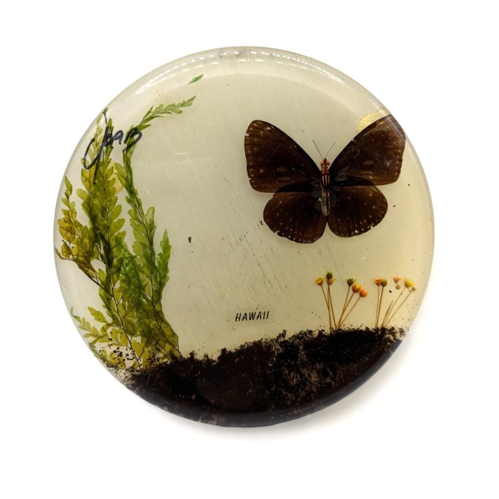 Vintage 70s Lucite Trivet butterfly and flowers Hawaii 8 in